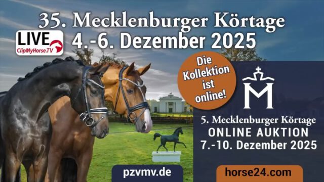 Die Kollektion der 5. Mecklenburger Körtage Onlineauktion ist online⭐⭐⭐
24 Hengste aus dem Körlot der 35.Mecklenburger Körtage wurden von Guido Recki @reckimedia in Szene gesetzt und können nun auf der Plattform Horse24 bestaunt werden:
https://horse24.com/de/auctions/details/5-mecklenburger-koertage-online-auktion-454
Viel Spaß mit unseren Auktionskandidaten! Wir hoffen, es ist für jeden etwas Passendes dabei und dann heißt es vom 7.-10. Dezember auf den Favoriten zu bieten!
The collection for the 5th Mecklenburg Stallion Licensing Online Auction is now online! ⭐⭐⭐
24 stallions from the licensing lot of the 35th Mecklenburg Stallion Licensing were photographed by Guido Recki @reckimedia and can now be admired on the Horse24 platform:
https://horse24.com/de/auctions/details/5-mecklenburger-koertage-online-auktion-454
Enjoy browsing our auction candidates! We hope there's something for everyone, and then it's time to bid on your favorite from December 7th to 10th!
#horsesforsale #buyhorse #equestrian #horsesofınstagram #pferd #stallion #dressage #showjumping #auction #licensing