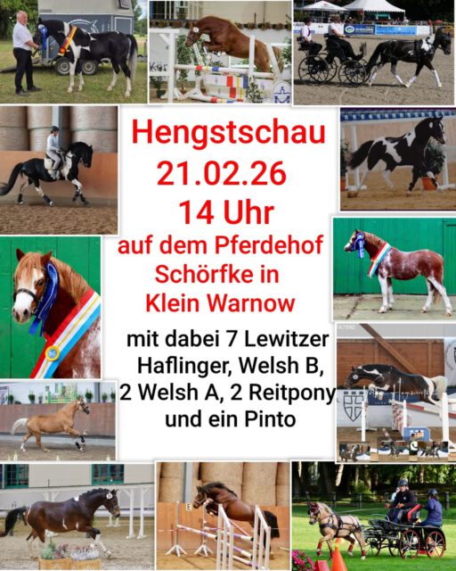 Eine weitere PKS-Hengstpräsentation findet am 21.Februar 2026 um 14 Uhr auf dem Pferdehof Schörfke, Klein Warnow statt.
Vererber der Rassen Lewitzer, Haflinger, Welsh A und B, 2 Dt. Reitponys und 1 Pinto sind angekündigt❗️❗️❗️
Familie Rausch/Schörfke freut sich über interessierte Zuschauer!
#stallion #ponys #kleinpferde #hengste #breeding