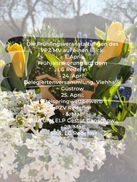 Hier unsere nächsten Veranstaltungen im Frühjahr 2026 auf einen Blick🌸🌼🌸
1. April: Frühjahrskörung auf dem Landgestüt Redefin
24. April: Delegiertenversammlung, Viehhalle Güstrow
25. April: Freispringwettbewerb des PZV Redefin
5. Mai: SBA und ELP Gestüt Ganschow
28. Mai: SBA, LG Redefin
Wir freuen uns auf euch und eure Vierbeiner🌸🌼🌸
#breeding #mecklenburgvorpommern #termine #spring