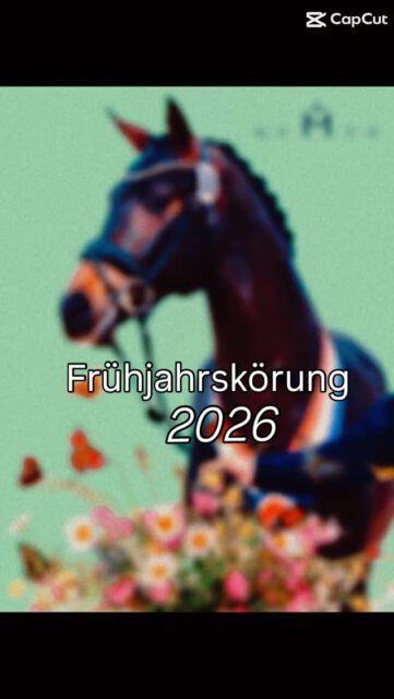 Hier der Zeitplan für die Frühjahrskörung 2026
🌸🌼🌸
am Mittwoch, den 01.April 2026
➡️ ab 08:30 Uhr: Identitätsprüfung & Vet.Check
1. Gruppe
➡️ 9.30 Uhr: Beginn der Pflastermusterung
1. Gruppe, im Anschluss Freilaufen & Ergebnisbekanntgabe
➡️ ab 10.00 Uhr: Identitätsprüfung & Vet.Check
2. Gruppe
➡️ 10.45 Uhr: Beginn mit der Pflastermusterung
2. Gruppe, im Anschluss Freilaufen/Freispringen und Ergebnisbekanntgabe
Wir freuen uns auf euch und eure Vierbeiner🐴🐴🐴
Derzeit sind 22 Hengste gemeldet🐴🐴🐴
1. Gruppe - Hengste ohne Freispringen
1 Shetlandpony 487 cm
1 DPbShetlandpony
1 Deutsches Classic Pony
1 Dartmoor
1 Ostfriese/Altoldenburger
2. Gruppe - Hengste mit Freispringen
1 Welsh Pony Sek. B
7 Deutsches Reitpony
2 Haflinger
1 Pinto
1 KDR
1 Palomino
4 Warmbluthengste
#licensing #stallion #mecklenburgvorpommern #rassevielfalt