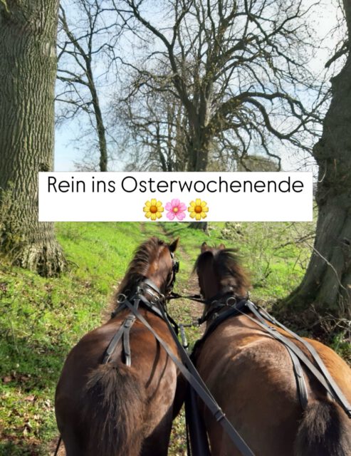 Nach einer schönen Frühjahrskörung macht sich die Geschäftsstelle jetzt auf ins Osterwochenende
🌼🌸🌼
Ab Dienstag, den 7. April sind wir wieder für euch da☎️☎️☎️
Wir wünschen allen Züchtern und Freunden des VPZ MV ein Frohes Osterfest!
#easter #ostern #geschäftsstelle #springtime
