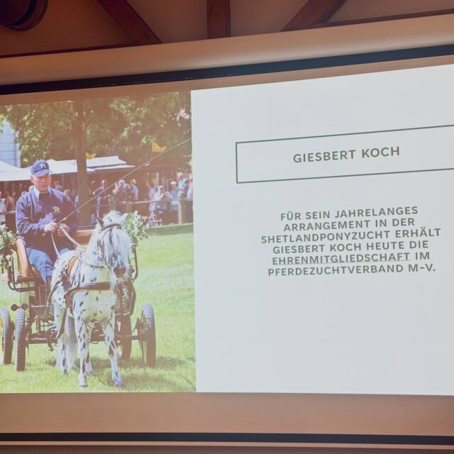 Gisbert Koch und Dr. Siegfried Hoffmann auf Delegiertenversammlung geehrt✨✨✨

Unter dem Punkt „Ehrungen“ wurde Gisbert Koch aufgrund seines unermüdlichen Engagements und züchterischen Erfolges zum Ehrenmitglied des VPZ MV berufen und der Verband bedankte sich bei Dr. Siegfried Hoffmann als Ansprechpartner des LALLF für die Unterstützung in diesen „stürmischen“ Zeiten und gratulierte zum 65. Geburtstag.

#honor #support #ehrenmitglied #dankeschön