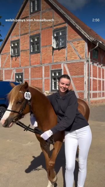 Impressionen von der SBA 2026 in Redefin🍀🍀🍀

#mecklenburgvorpommern #mare #throwback #breeding