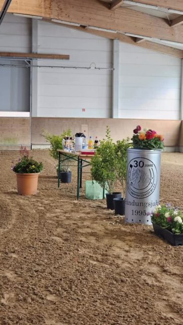 Top-Qualitäten auf der SBA 2026 der IG-Shetland ✨✨✨
Am 5. Juni fand die SBA der Shetlandponyrassen auf dem Landgestüt Redefin statt. 45 Stuten waren vor Ort, 36 davon reisten als Staatsprämienanwärterinnen heim. Zuchtleiter Uwe Träder: „Die Qualität auf dieser SBA ist einfach unfassbar gut. Wenn wir anders bewerten würden, würden wir den Stuten Unrecht tun!“ Diesen Eindruck hatten auch seine beiden Richterkollegen Sandra Engelmann und Sebastian Bähr.
Bei den Shetlandponys Original siegte die KN 12 Kimberly von der Waldesruh (v.Kenzo Liebas/Imago van de Spoorlaan), Z.: Willi Scheuvens.
Den Ring der Minis entschied Dilarah von den Allegärten (v. Elmhorst Elliot/Prince van de Wijzend) mit 8,48 für sich. Hier gehen unsere Glückwünsche an das Züchterhaus Kohl, Brüel.
Qikkilak al Jäboruder (KN 51) konnte mit 8,14 den Ring der älteren Stuten für sich entscheiden. Sie steht im Besitz von Lorenz Schweinsberg.
Mit 8,43 ging der Sieg bei den DtPbShPonys an die KN 31 Xinimini vom Elchmoor (v. Alf/Xente can’t heut). Hier kann sich Ines Adler über ihre StPrAnwärterin freuen.
Den Tagessieg mit 8,55 holte KN 35 Bo Royale, eine Classic Ponystute von Jupiter von Clus/Jim Beam vom Moritzberg aus der Zucht und im Besitz von Christoph Schneekluth.
Wir gratulieren ganz herzlich zu diesen Erfolgen🍀🍀🍀
Heute geht es für die meisten Stuten in die Leistungsprüfung Fahren, die ebenfalls auf dem Landgestüt Redefin veranstaltet wird. Wir wünschen allen Akteuren viel Erfolg und das nötige Quäntchen Glück, um tolle Leistungen abzuliefern✨✨✨
Fotos: Rainer Kohl 🙏🏻Danke für den unschlagbaren Support🙏🏻
#shetlandpony #mare #breeding #mecklenburgvorpommern
