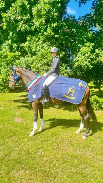 Landeschampioness der Dressurpferde✨✨✨
Sambuca Gold von Secret/Le Vivaldi🏆🏆🏆 Der Züchter ist Gerhard W. Hügle und Besitzerin und Reiterin Jessika Peschel.
Herzlichen Glückwunsch 🍀🍀🍀
#mecklenburgvorpommern #dressage #breeding #champion