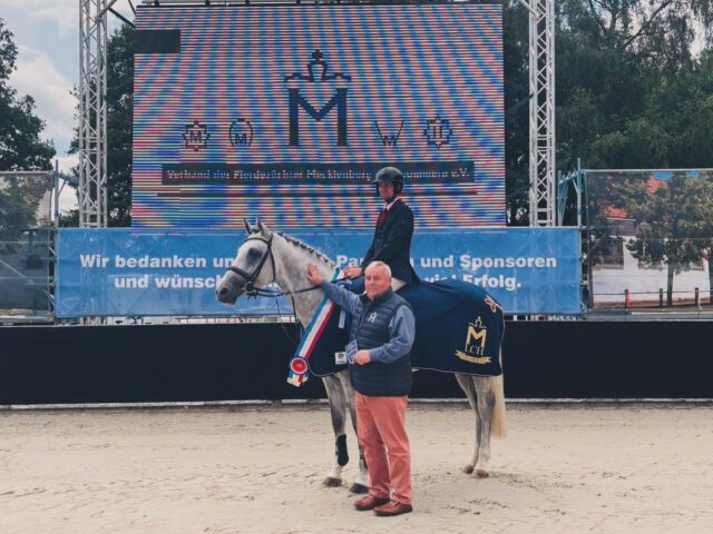 Auch die vierjährigen Springpferde haben ihren Champion ausgeritten🏆🏆🏆
Er heißt Carneol von Cellado/Flipper Hit. Züchterin ist Patricia Tlatlik und Besitzer die Stiftung Brandenburgisches Haupt- und Landgestüt Neustadt/Dosse. Vorgestellt wurde Carneol von Günther Stübe.
Herzlichen Glückwunsch 🍀🍀🍀
#champion #mecklenburger #showjumping #mecklenburgvorpommern