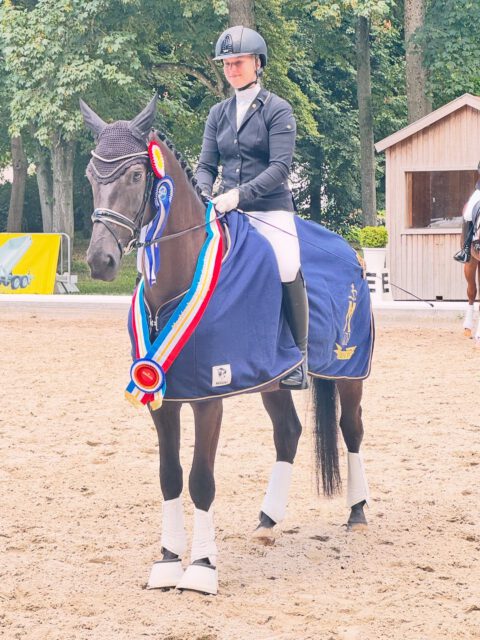 Landeschampion der Reitpferde 2026✨✨✨

Milisco, 4-jähriger Wallach von Millennium/Sancisco. Gezüchtet wurde Milisco von der ZG Egner/Lange, im Besitz von Guido Lange und vorgestellt von Ann-Christin Mehl. 

Herzlichen Glückwunsch 🍀🍀🍀

#champion  #mecklenburgvorpommern #breeding #reitpferde