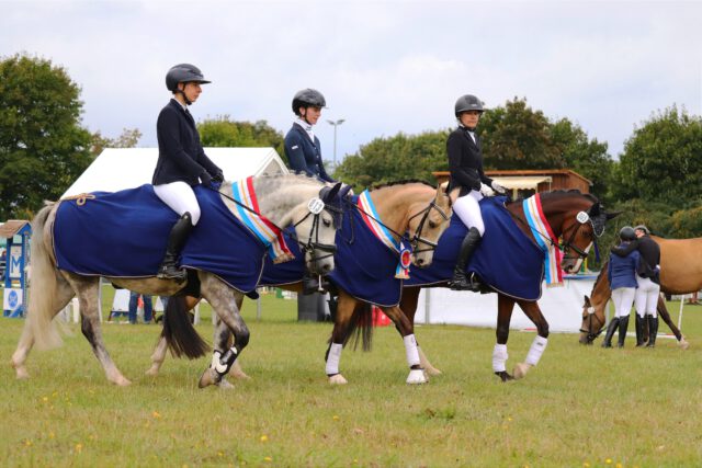 Die letzen Landeschampions des Jahres 2026 in MV sind gekürt🏆🏆🏆
Auf den Ponytagen MV in Wöpkendorf am 29. August wurden die Landeschampions der Ponys ausgesucht.
Bei den Reitponys ging der Titel an Goldmariechen CR, eine 4-jährige Stute von Golden Daim F/FS Dior de Luxe. Das Pony wurde gezogen, ist im Besitz und wurde geritten von Carolina Romanowski. Das Paar erreichte eine WN von 7,9.
Bei den Dressurponys hatte Mary Poppins W die Nase vorn. Ebenfalls mit einer 7,9 bewertet, absolvierte die 6-jährige Stute von Movie Star/FS Cracker Jack die Aufgabe unter ihrer Reiterin und Besitzerin Manuela Granzow-Finck. Als Züchterin ist hier Indira Wallner zu nennen.
Landeschampioness der Springponys wurde Vorjahressiegerin Charlotte M 2. Diese Stute von Cellestial/White Moor Mikis wurde von Mario Mühlenberg gezogen und von ihrer Besitzerin Anna-Lena FInck vorgestellt. Sie erhielt eine 7,8.
Herzlichen Glückwunsch zu diesen Zuchtprodukten⭐⭐⭐
Fotos: Selina Adoms
#dtreitponys #landeschampions #mecklenburgvorpommern #ponypower